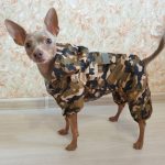 Fashion Dog Raincoat Waterproof Puppy Pet Dog Rain Coat Hooded Reflective Raining Coat